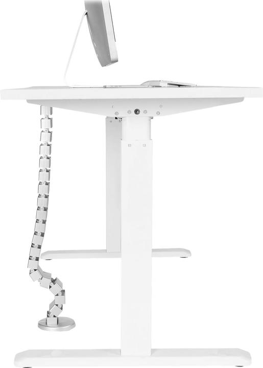 Actual product image StarTech Cable Manager Spine (129 cm)