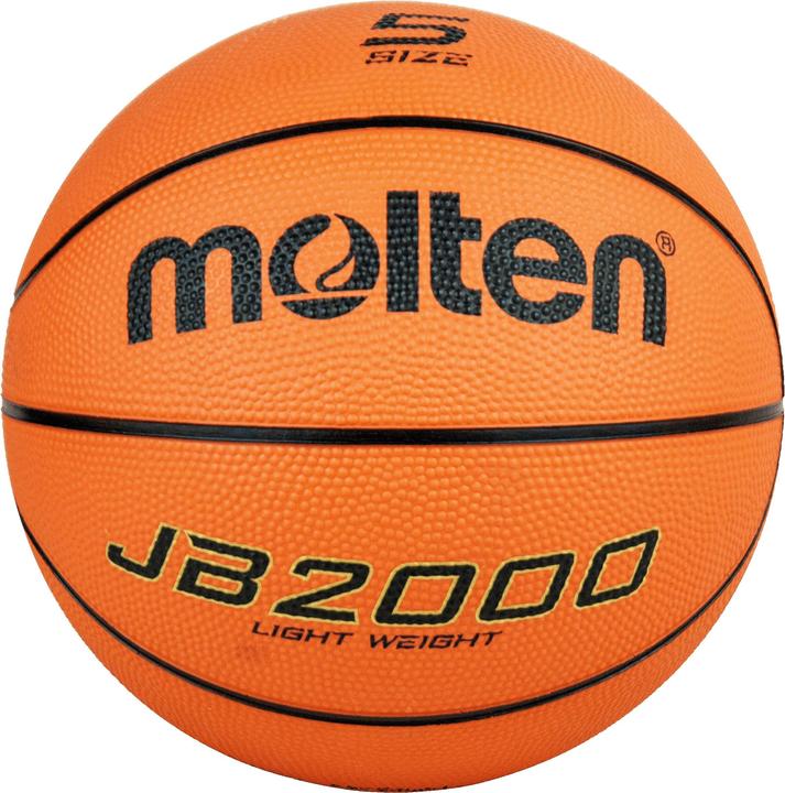 Actual product image Molten B5C2000-L Basketball