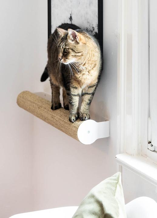 Produktbild LucyBalu CATWALK Kratzstamm (9 cm, Weiss, Sand)