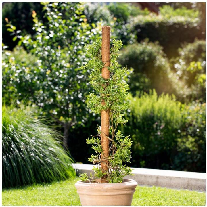 Image du produit Windhager Bâton de plante noix de coco (110 cm, 4.50 cm)