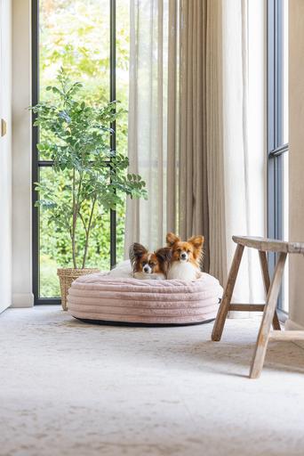 Actual product image Designed by Lotte Reza reclining cushion (Dog)