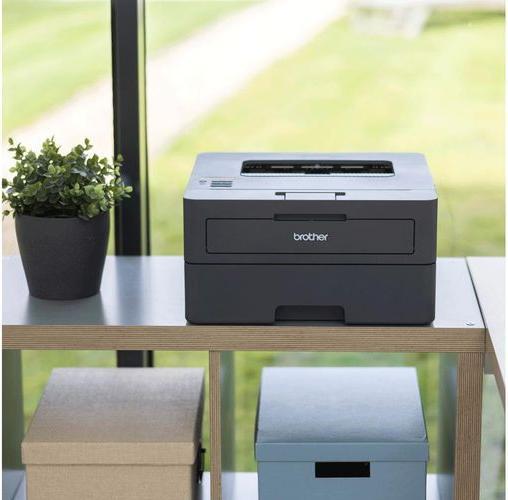 Actual product image Brother HL-L2445DW (Laser, Black and white)