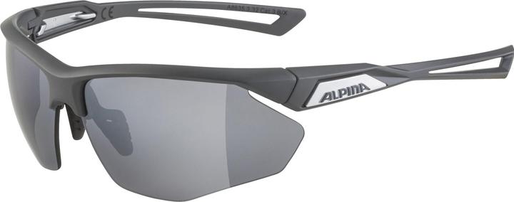 Image du produit ALPINA SPORTS Nylos HR (Gris nuit mat, Silver)