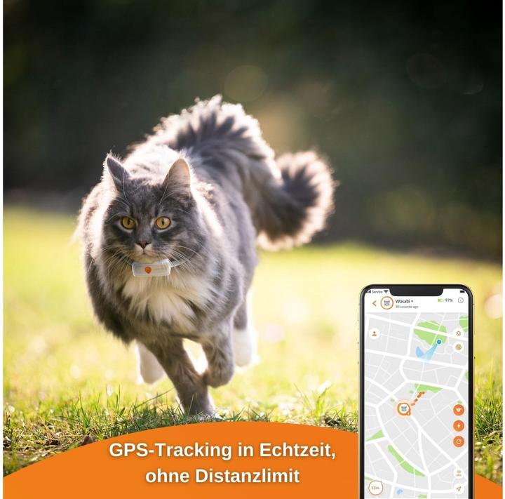 Image du produit Weenect Traceur GPS XS pour chats, blanc (Android, iOS)