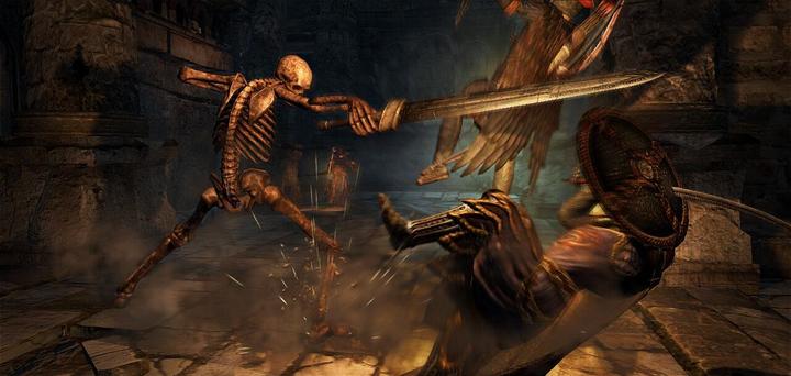 Image du produit Capcom Dragon's Dogma : Dark Arisen -US- (Switch, Switch Lite, Switch OLED, EN)