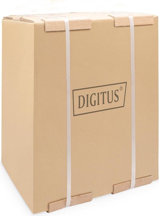 Image du produit Digitus Boîtier mural de 254 mm (10 po) - 312 x 300 mm (lxp) (9 HE, Rack 10 pouces)