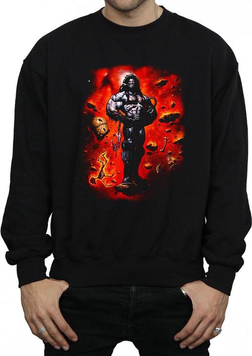 Produktbild Lobo Cosmos Sweatshirt (L)