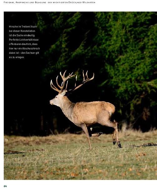 Produktbild Drückjagd (Deutsch, Peter Diekmann, 2021)