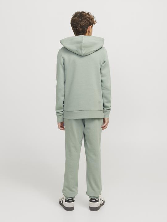 Produktbild Jack & Jones JJELOGO SWEAT HOOD 2 COL 24/25 NOOS JNR (152)