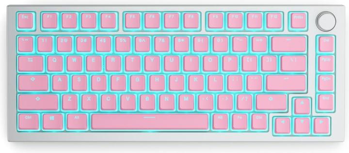 Image du produit Glorious PC Gaming Race Aura Keycaps V2