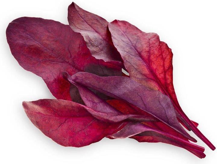 Immagine prodotto Click and Grow Semi Bietola rossa (Semi di verdura)