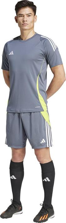 Actual product image adidas Tiro 24 training shorts men (M)