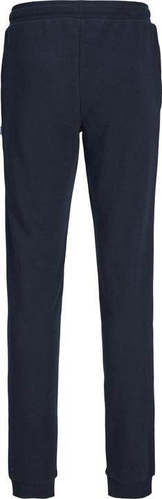 Produktbild Jack & Jones JPSTELOGO SWEATPANTS 2COL 24/25 NOOS JNR (164)