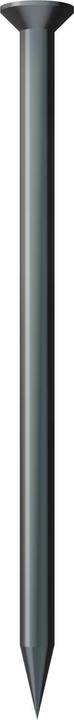 Actual product image OBO Bettermann 362 40 BK Steel nail hardened 2x40mm St BK 3353400 (1000 Piece, 40 mm)