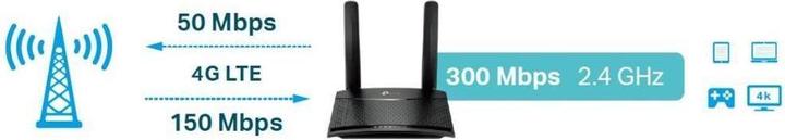 Actual product image TP-Link TL-MR100