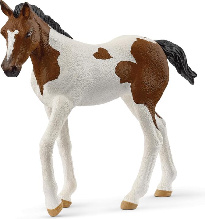 Actual product image Schleich Paint Horse Foal