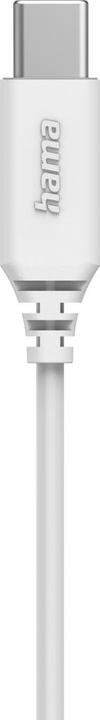 Productafbeelding Hama Ocean II hoofdtelefoon, oordopjes, microfoon, kabelbescherming, USB-C, wit (Bedraad)