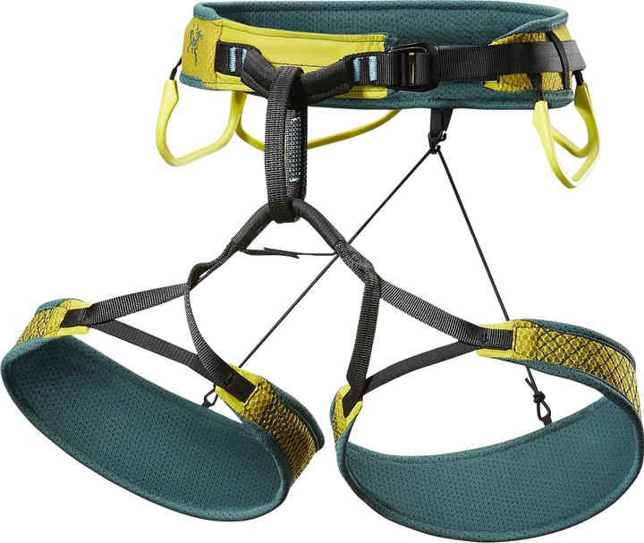 Actual product image Arc'teryx Skaha (L)