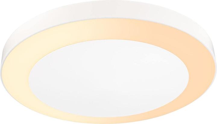 Actual product image Paulmann Lamps Circula (1800 lm, IP44)