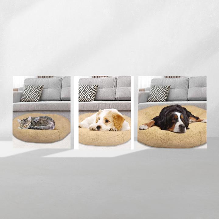 Produktbild MediaShop Peaceful Pooch (Hund)