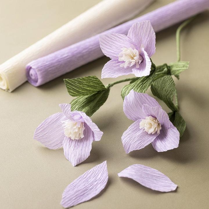 Image du produit Creativ Company Papier crêpé (105 g/m², 8 x)