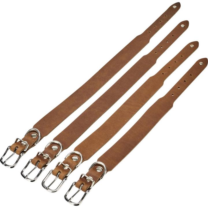 Actual product image Laboni Collar Giro M (M, Dog, General)