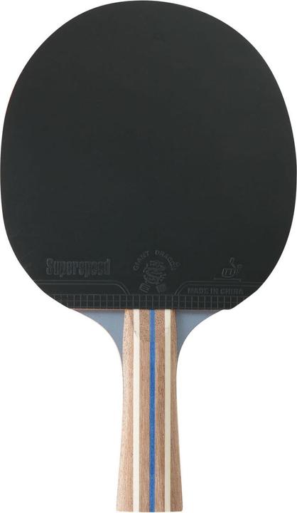 Actual product image Hudora Tournament