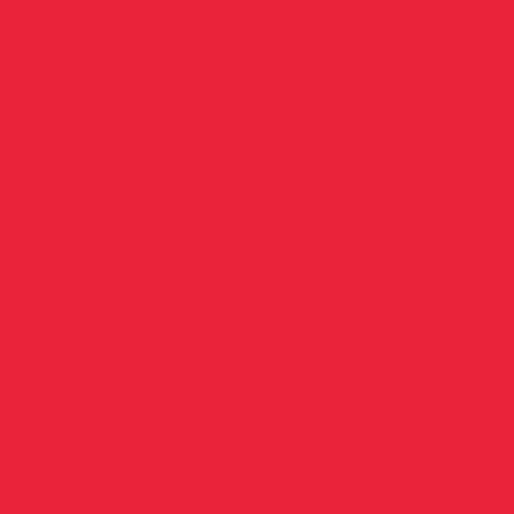 Immagine prodotto Folia Bringmann 65211 - Cartoncino per poster, circa 48 x 68 cm, 10 fogli, 380 g/mq, colorato di (380 g/m², 10 x)