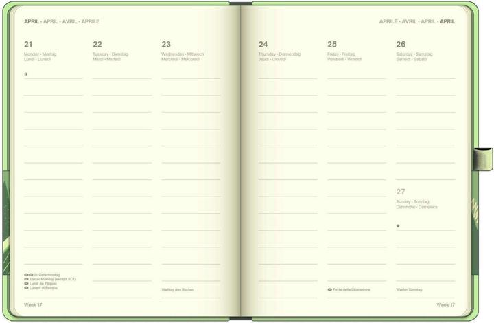 Produktbild Neumann N NEUMANNVERLAGE - Matcha 2025 Cool Diary, 16x22cm, Wochenkalender mit Banderole und Lesebändchen (16 x 22 cm, Deutsch)