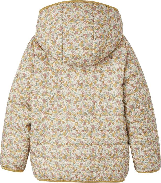 Image du produit Vertbaudet Boussole (86)