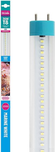 Image du produit Aquarium Systems Classica T8 LED Marine White, 105 cm, équivalent fluorescent 38 W (Tube fluorescent, 16 W)