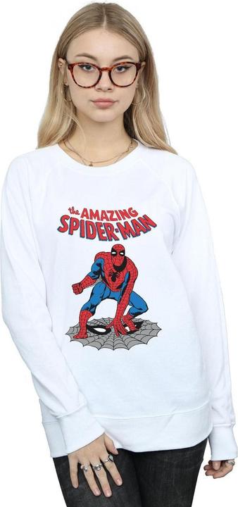 Actual product image Womens/Ladies The Amazing Spider-Man Sweatshirt (XXL)