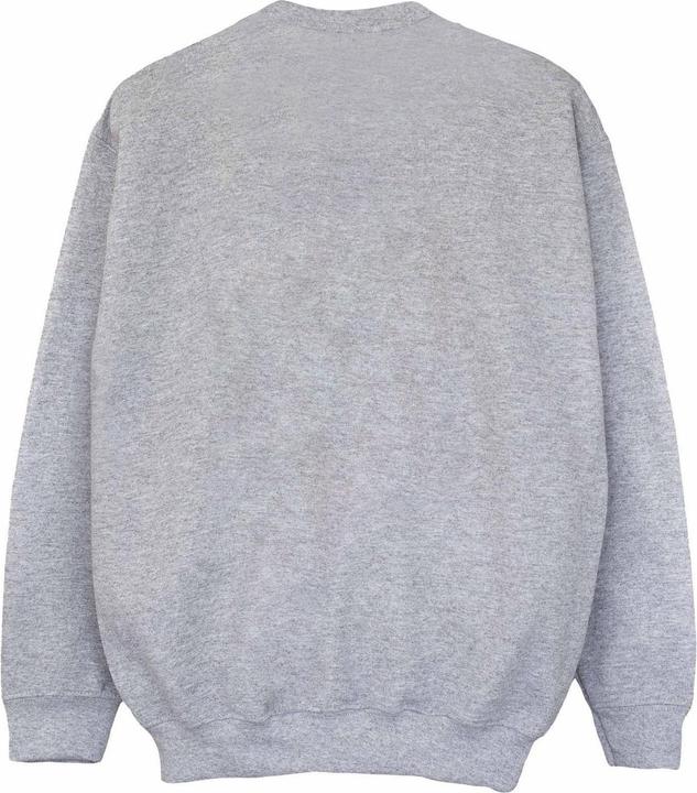 Image du produit Disney Sweat-shirt garçon Donald Duck Face (128)