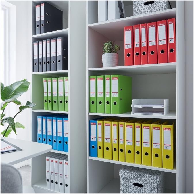 Actual product image Esselte Lever arch file plastic (A4, 50 mm, 1 Piece)