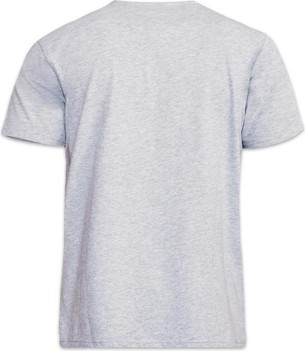 Actual product image DUKE D555 Kingsize Flyers1 Tshirt (4XL)