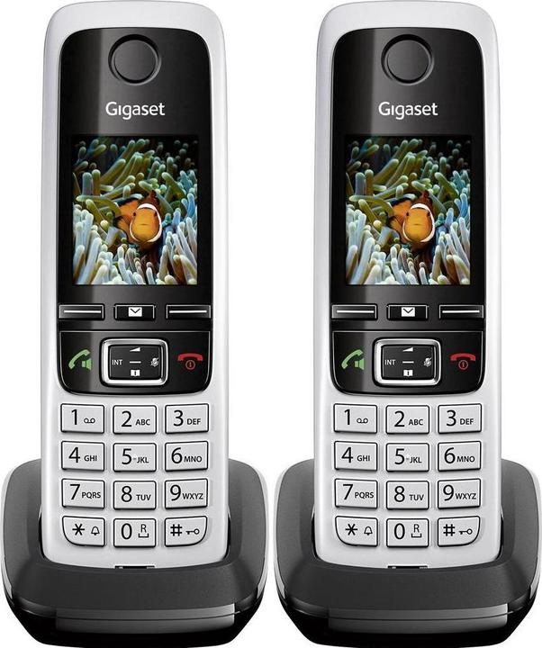 Actual product image Gigaset C430 Duo