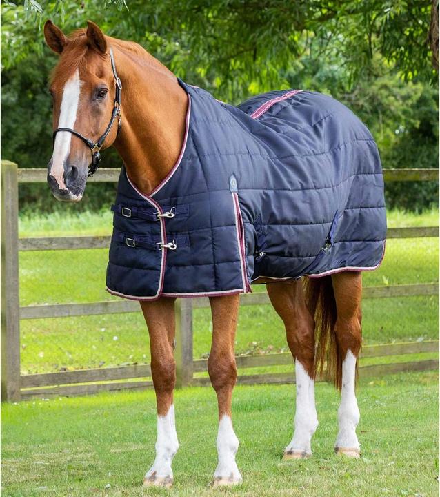 Actual product image Premier Equine Garissa 100 g (175 cm)
