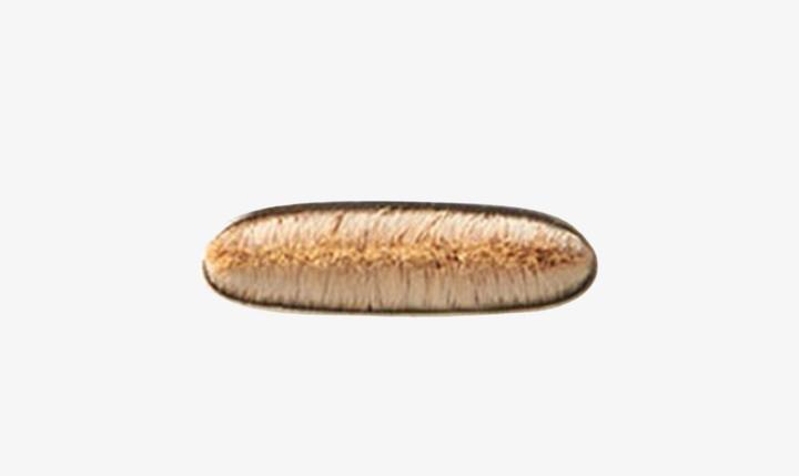 Image du produit MAC Cosmetics 212 Flat Definer Brush (Eyeliner)