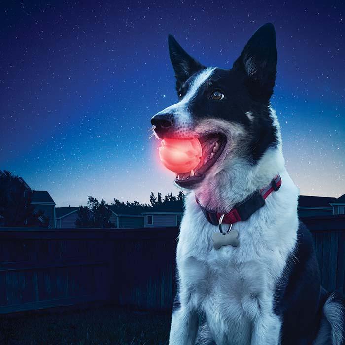 Produktbild Nite Ize Meteorlight LED (Ballspielzeug Hund)