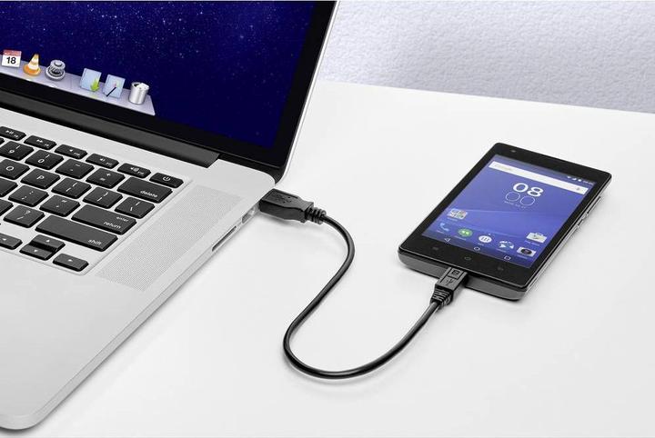 Image du produit Renkforce Câble USB 2.0 (1x USB 2.0 plug A (0.30 m, USB 2.0)