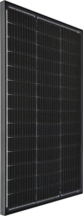 Actual product image Voltima Prima PSM100(B) Bifazial Solarmodul 100 Watt Monokristallin (100 W)