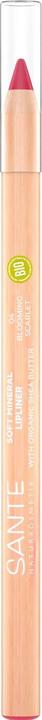 Sante Lip Liner Soft Mineral 04 Blooming Scar (04 Blooming Scar)