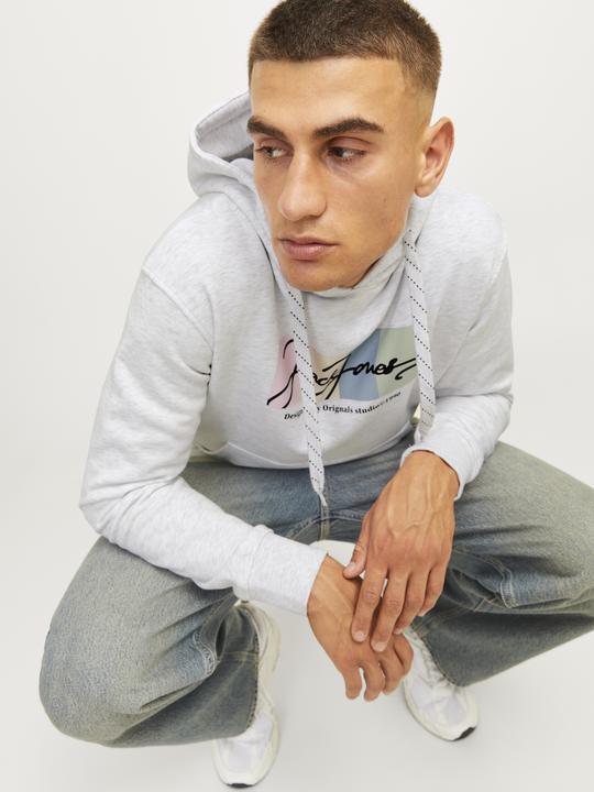 Immagine prodotto Jack & Jones Jorportland Block Sweat Hood Ln (M)