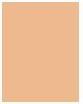 Produktbild Shiseido SS Self Refreshing Tint No 225 (225 Light Magnolia)