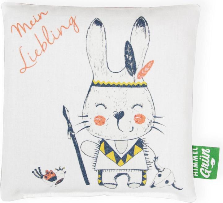 Actual product image Himmelgrün Grape seed pillow darling boys (15 x 15 cm)