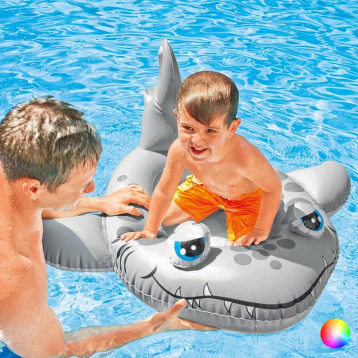 Actual product image Intex Pool Cruisers