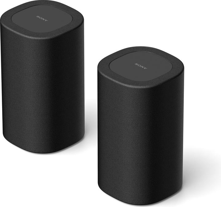 Immagine prodotto Sony SA-RS8 (1 coppia, 100 W)