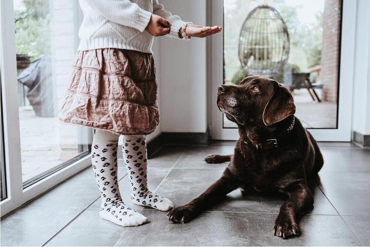 Produktbild Hunter Arizona Up Schwarz für Hunde 50 (50, Hund, Allgemein)