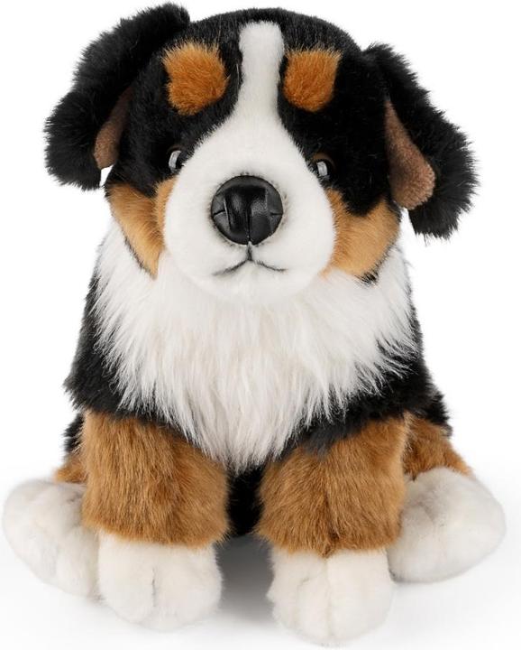 Immagine prodotto Living Nature Cane da montagna bernese (30 cm)