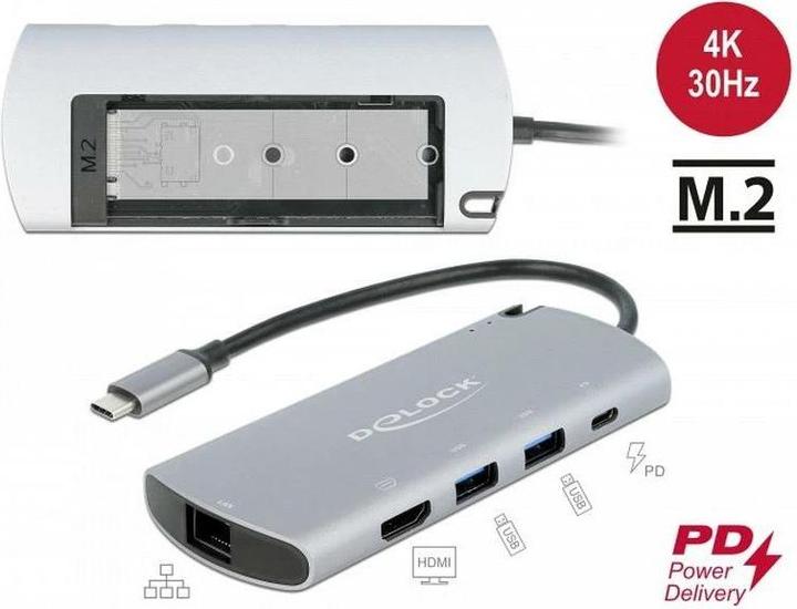 Actual product image Delock USB Type-C™ docking station with M.2 slot (USB-C, 1 Ports)